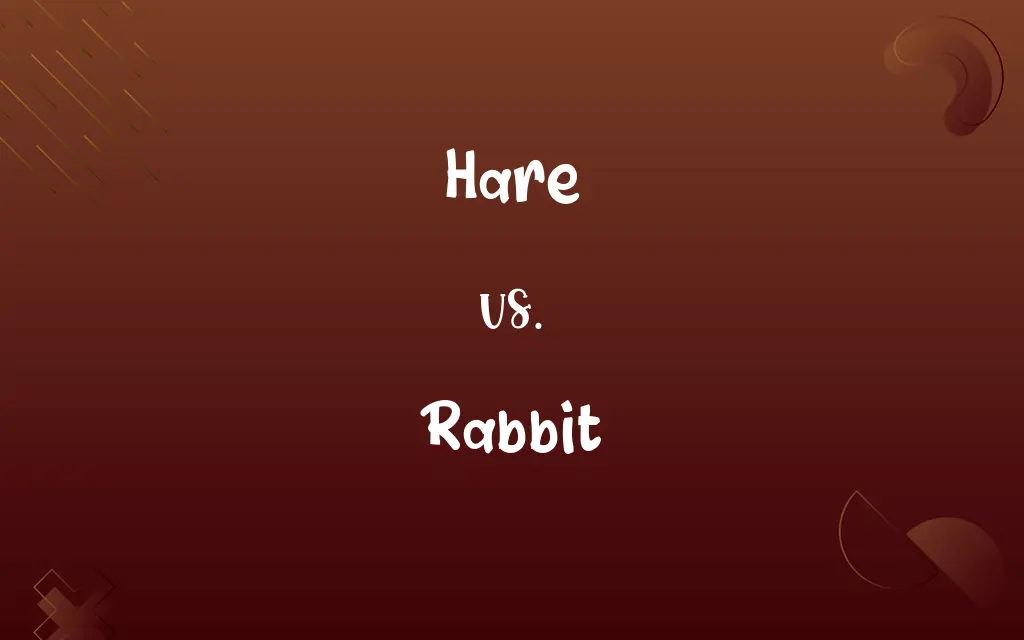 Hare vs. Rabbit
