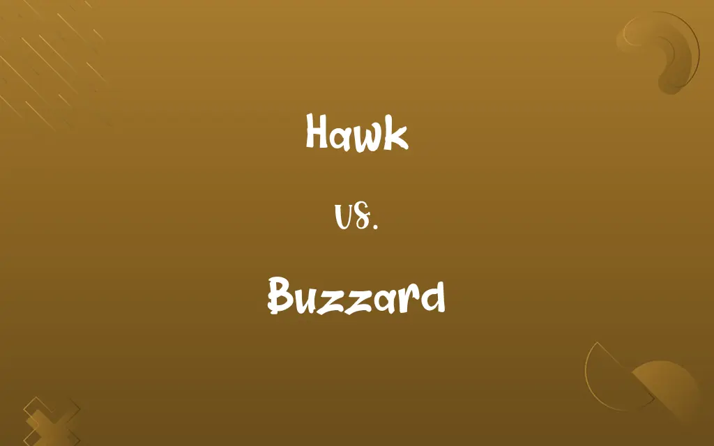 Hawk vs. Buzzard