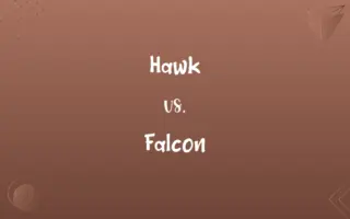 Hawk vs. Falcon