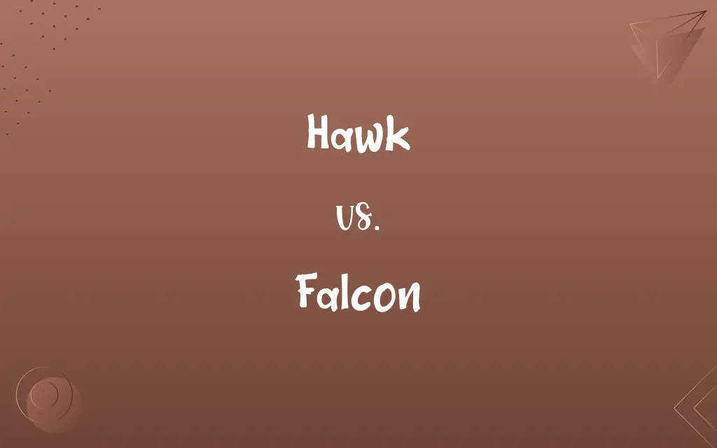 Hawk vs. Falcon