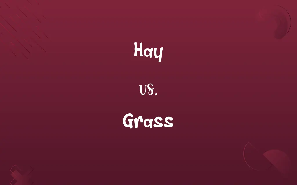 Hay vs. Grass
