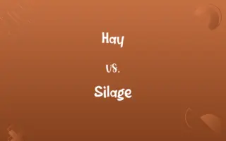 Hay vs. Silage