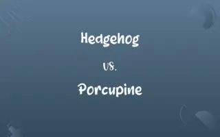 Hedgehog vs. Porcupine