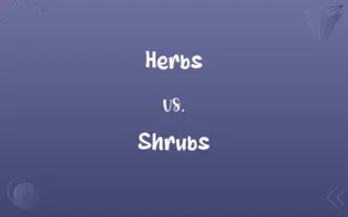 Herbs vs. Shrubs
