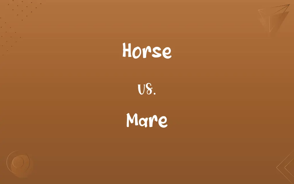 Horse vs. Mare