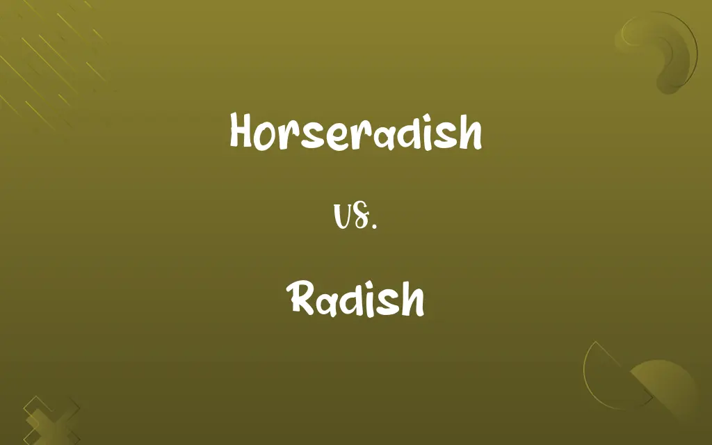 Horseradish vs. Radish