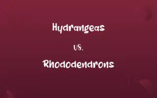 Hydrangeas vs. Rhododendrons