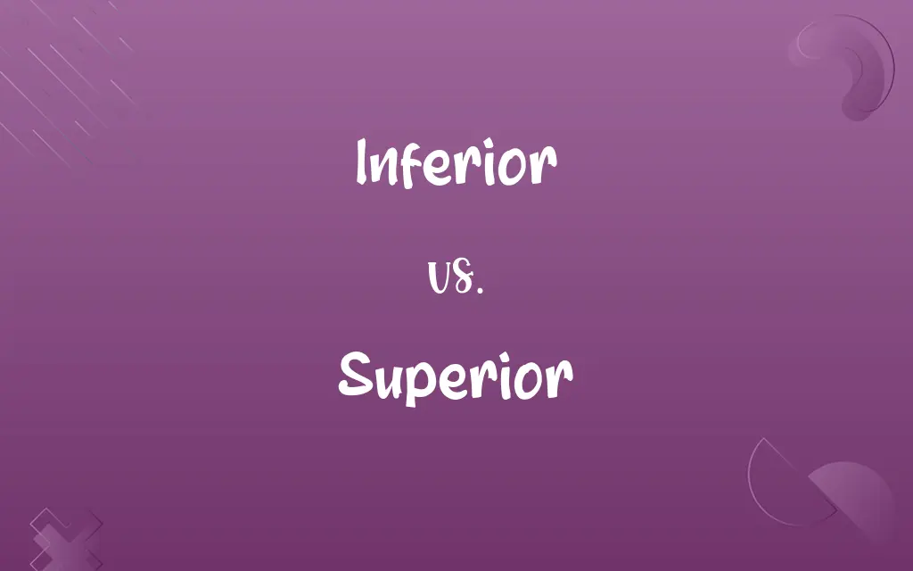 Inferior vs. Superior