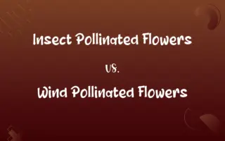 Insect Pollinated Flowers vs. Wind Pollinated Flowers