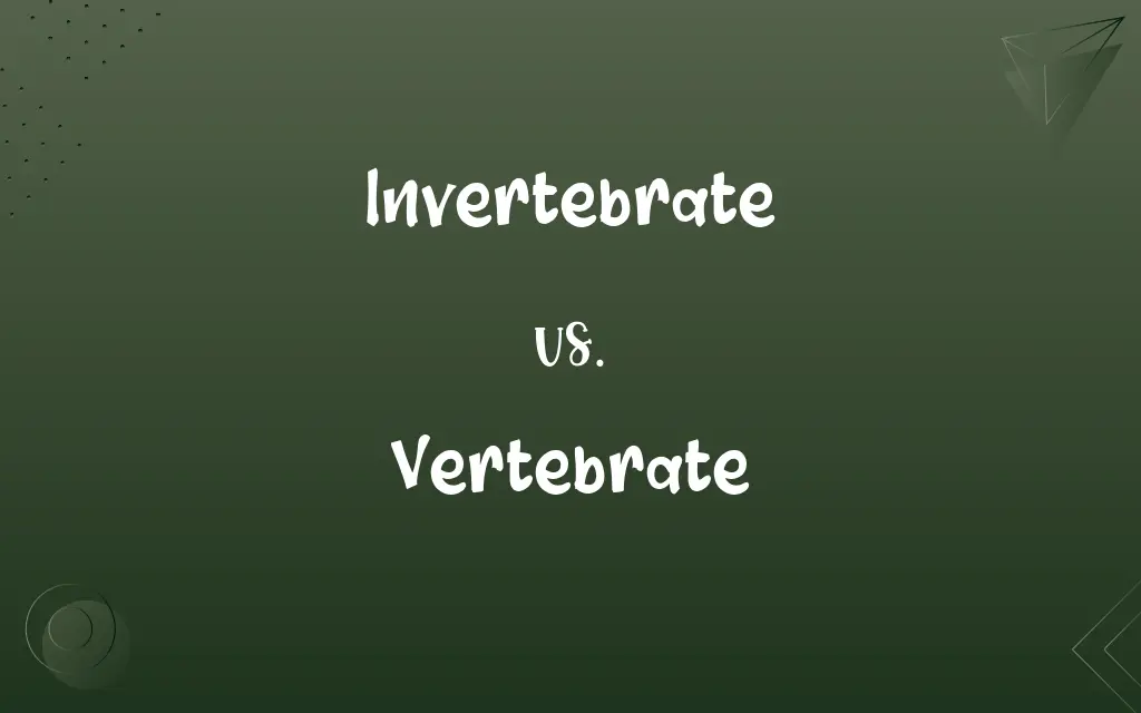 Invertebrate vs. Vertebrate