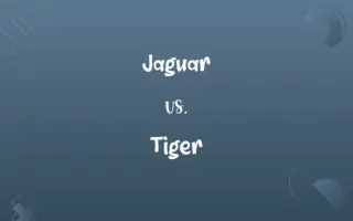 Jaguar vs. Tiger