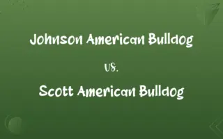 Johnson American Bulldog vs. Scott American Bulldog