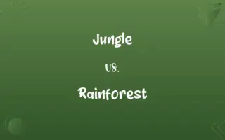 Jungle vs. Rainforest