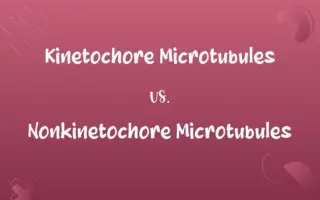 Kinetochore Microtubules vs. Nonkinetochore Microtubules