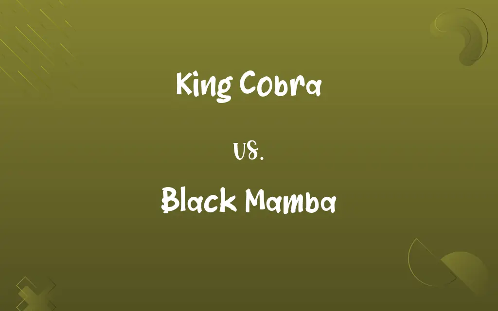 King Cobra vs. Black Mamba