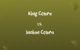 King Cobra vs. Indian Cobra