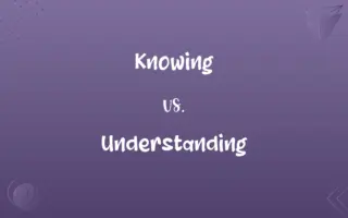 Knowing vs. Understanding