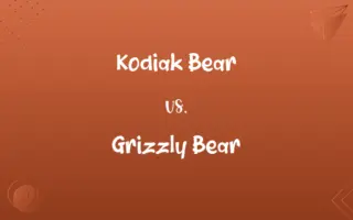 Kodiak Bear vs. Grizzly Bear