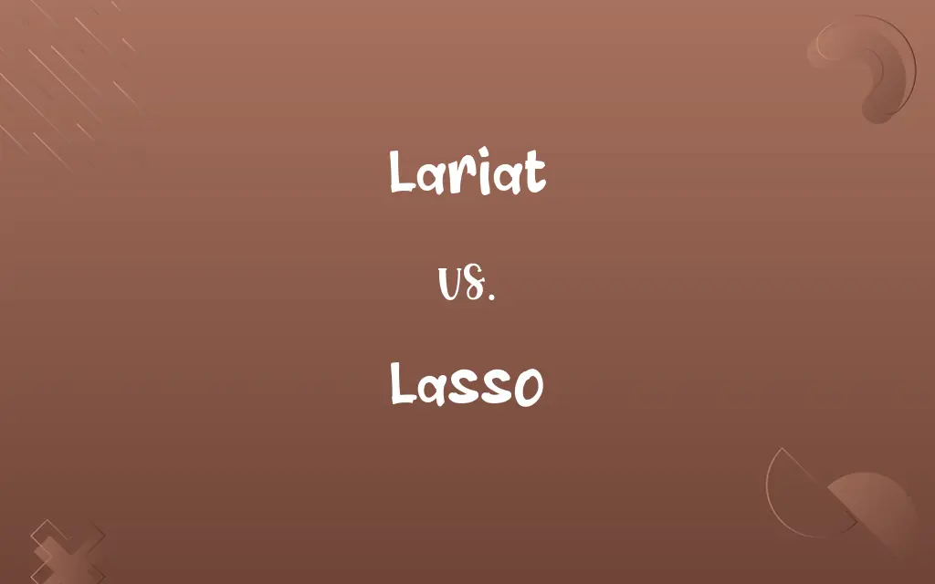 Lariat vs. Lasso