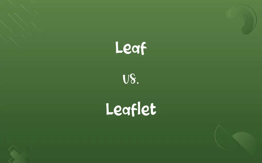 Leaf vs. Leaflet