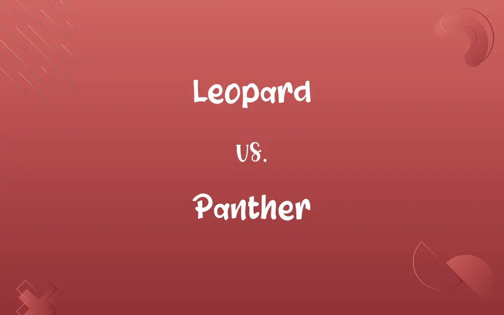 Leopard vs. Panther