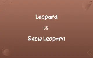 Leopard vs. Snow Leopard