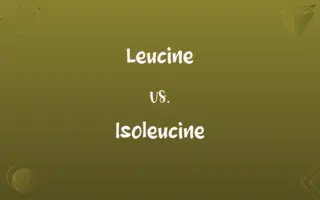 Leucine vs. Isoleucine