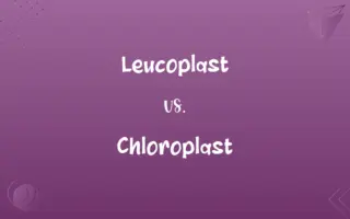Leucoplast vs. Chloroplast