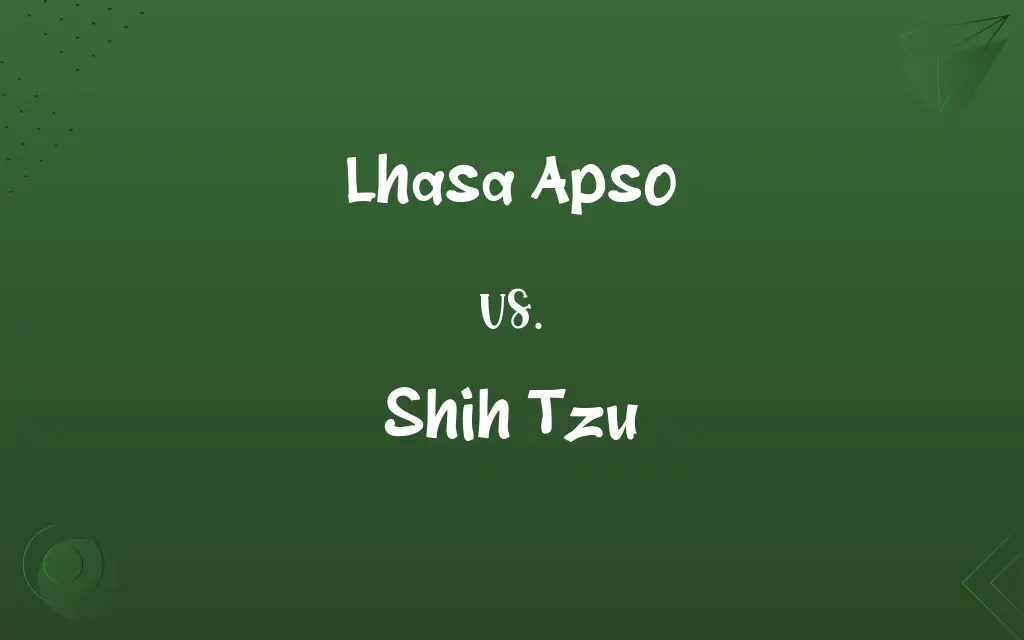 Lhasa Apso vs. Shih Tzu