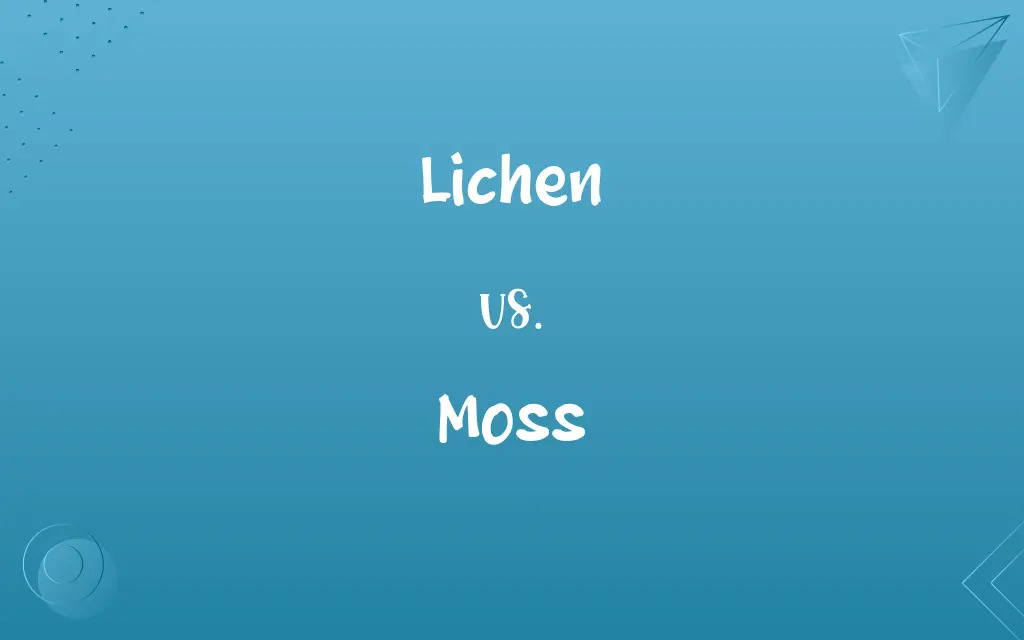 Lichen vs. Moss