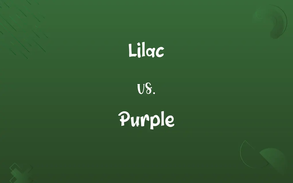 Lilac vs. Purple