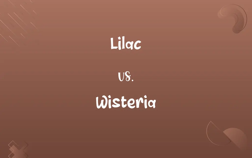 Lilac vs. Wisteria