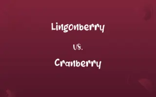 Lingonberry vs. Cranberry