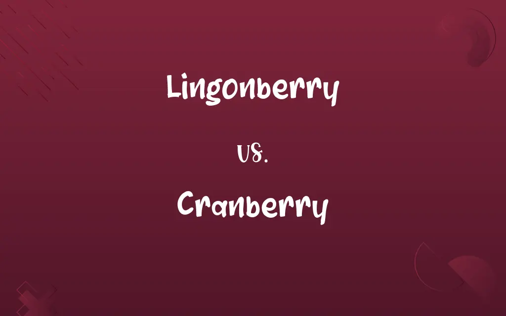 Lingonberry vs. Cranberry