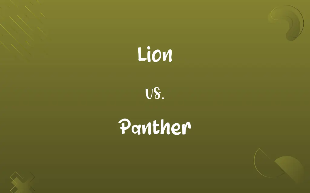 Lion vs. Panther