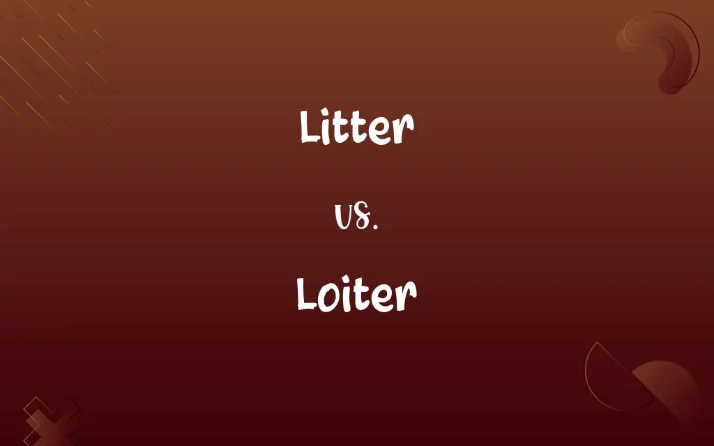 Litter vs. Loiter