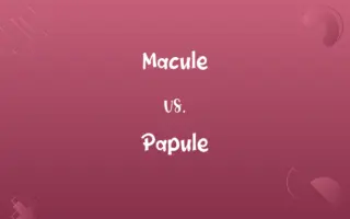 Macule vs. Papule