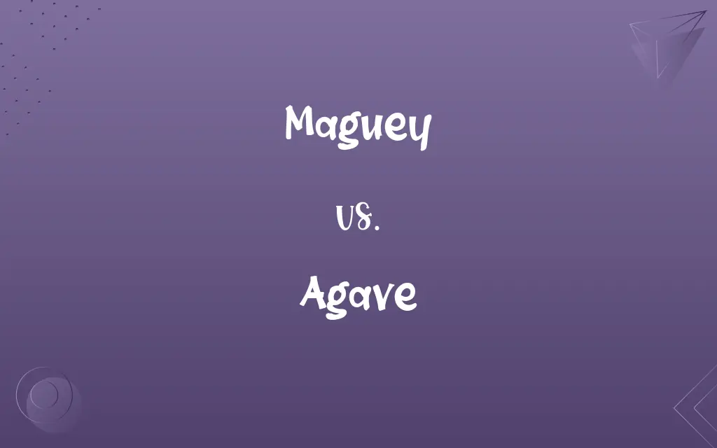 Maguey vs. Agave