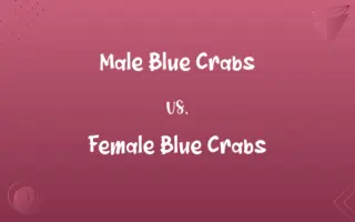 Male Blue Crabs vs. Female Blue Crabs