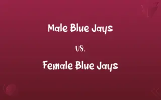 Male Blue Jays vs. Female Blue Jays