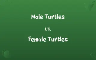 Male Turtles vs. Female Turtles