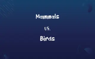 Mammals vs. Birds
