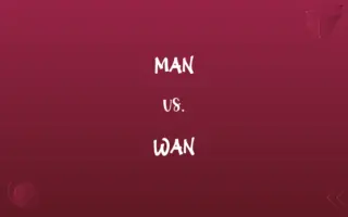 MAN vs. WAN