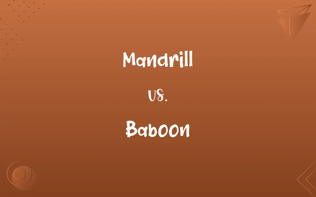 Mandrill vs. Baboon