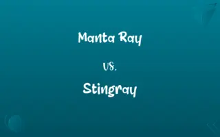 Manta Ray vs. Stingray