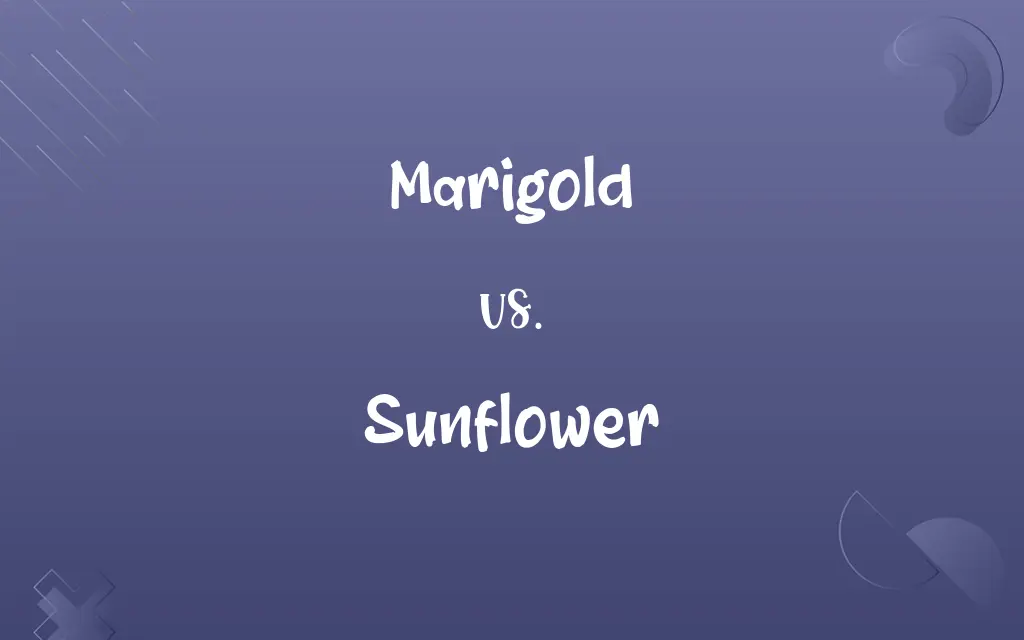 Marigold vs. Sunflower