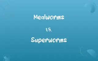 Mealworms vs. Superworms