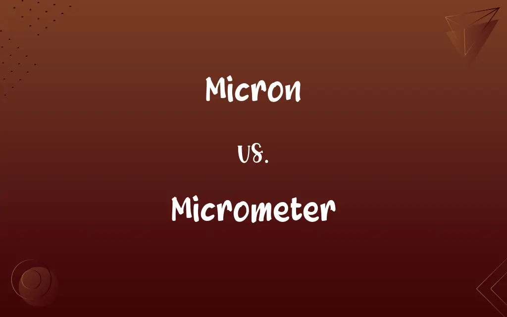 Micron vs. Micrometer