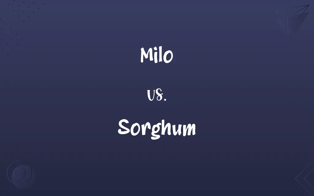 Milo vs. Sorghum