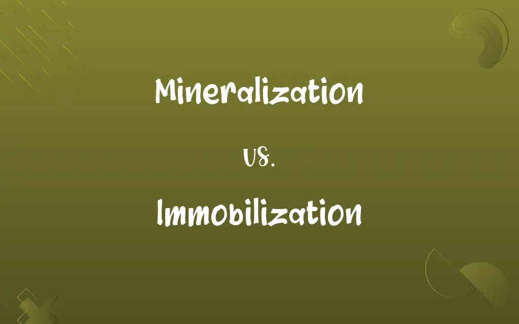 Mineralization vs. Immobilization